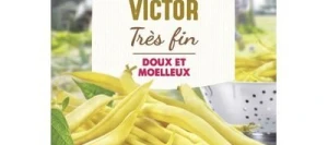 Haricot beurre sans fil VICTOR - VILMORIN