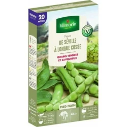 Fève DE SÉVILLE à Longue Cosse - VILMORIN