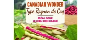 Haricot nain à écosser CANADIAN WONDER - VILMORIN