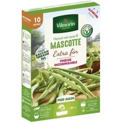 Haricot vert sans fil MASCOTTE - VILMORIN