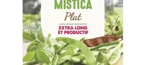 Haricot vert sans fil MISTICA - VILMORIN