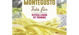 Haricot beurre sans fil MONTEGUSTO - VILMORIN