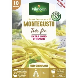 Haricot beurre sans fil MONTEGUSTO - VILMORIN