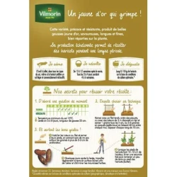 Haricot beurre sans fil MONTEGUSTO - VILMORIN