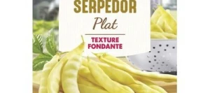 Haricot beurre sans fil SERPEDOR - VILMORIN