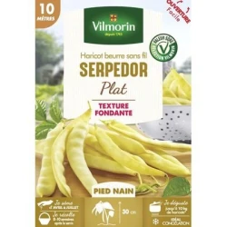 Haricot beurre sans fil SERPEDOR - VILMORIN