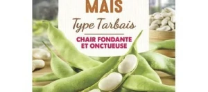 Haricot à écosser MAÏS - VILMORIN