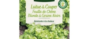 Laitue à couper Feuille de chêne Blonde Graine Noire - VILMORIN