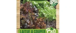 Laitue à couper en Mélange BIO - VILMORIN