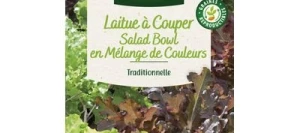 Laitue à couper en Mélange Type feuille de Chêne - VILMORIN