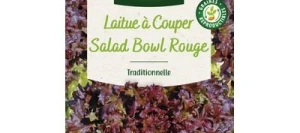 Laitue à couper RED SALAD BOWL - VILMORIN