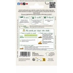 Laitue à couper RED SALAD BOWL - VILMORIN