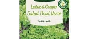 Laitue à couper SALAD BOWL VERTE - VILMORIN