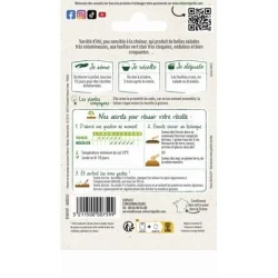 Laitue Batavia BLONDE DE PARIS - VILMORIN