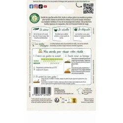 Laitue Batavia KAMIKAZE - VILMORIN