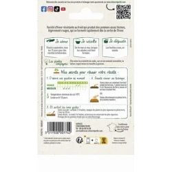 Laitue Brune d'hiver - VILMORIN