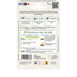 Laitue MERVEILLE D'HIVER - VILMORIN