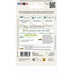 Laitue pommée GOTTE JAUNE D'OR - VILMORIN