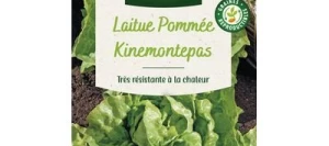 Laitue pommée KINEMONTEPAS - VILMORIN