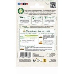 Conditionnement Laitue pommée SAGESS - VILMORIN