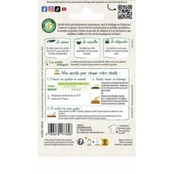 Laitue pommée SAGESS - VILMORIN