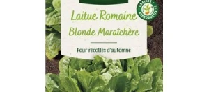 Laitue Roumaine BLONDE MARAÎCHÈRE - VILMORIN