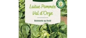 Laitue VAL D'ORGE - VILMORIN