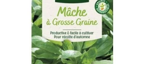 Mâche à Grosse Graine - VILMORIN