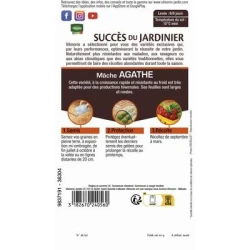 Mâche AGATHE - VILMORIN