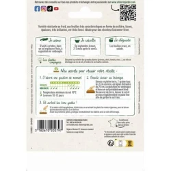 Mâche COQUILLE DE LOUVIERS - VILMORIN