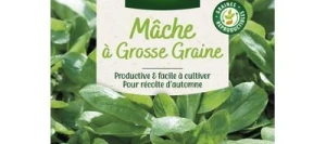 Mâche à Grosse Graine - VILMORIN
