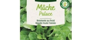 Mâche PALACE - VILMORIN