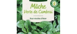 Mâche VERTE DE CAMBRAI - VILMORIN