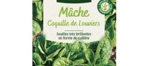 Mâche COQUILLE DE LOUVIERS - VILMORIN