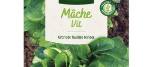 Mâche VIT - VILMORIN