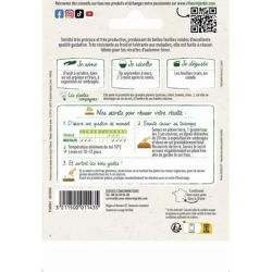 Mâche VIT - VILMORIN