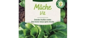 Mâche VIT - VILMORIN