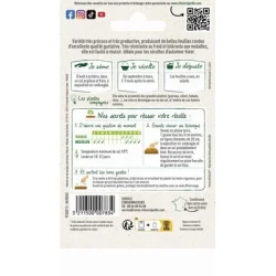 Mâche VIT - VILMORIN