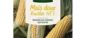 Maïs Sucré RUSTLER - VILMORIN