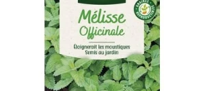 Mélisse Officinale - VILMORIN