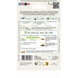 Mélisse Officinale - VILMORIN