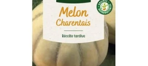 Melon CHARENTAIS - VILMORIN