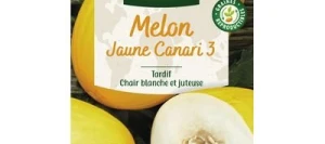 Melon Jaune Canari 3 - VILMORIN