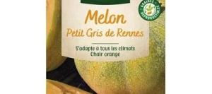 Melon Petit Gris de Rennes - VILMORIN