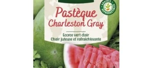 Pastèque CHARLESTON GRAY - VILMORIN
