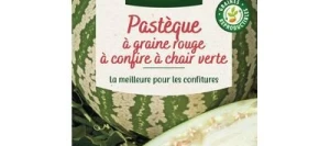 Pastèque A graine rouge à confire à cher verte - VILMORIN