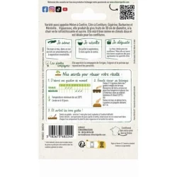 Pastèque A graine rouge à confire à cher verte - VILMORIN