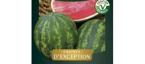 Pastèque MINI-LOVE HF1 - VILMORIN