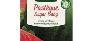 Pastèque SUGAR BABY - VILMORIN