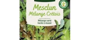 Mesclun Mélange Crétois - VILMORIN